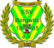 ESV Bergwitz 1905 AH